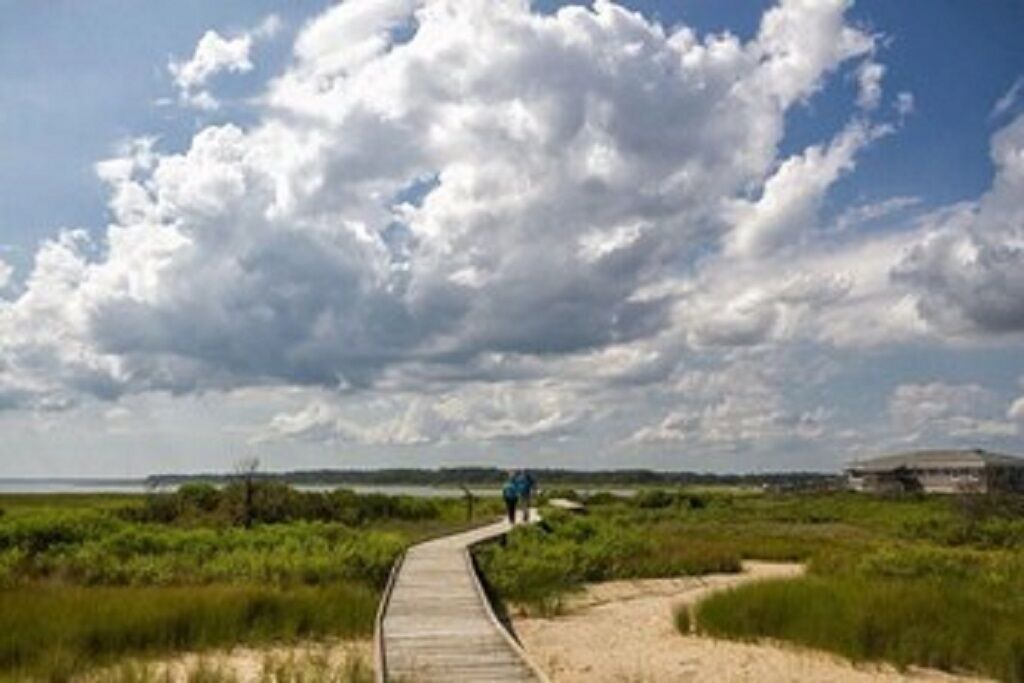 Photo of Others in Assateague Pointe