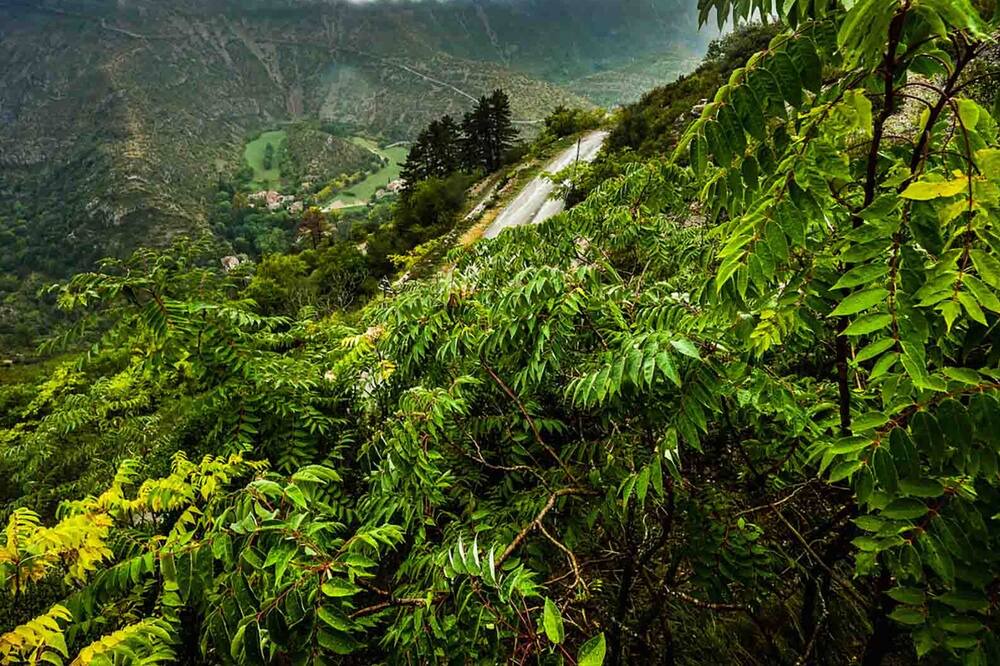 Photo of Outdoor in Antigone