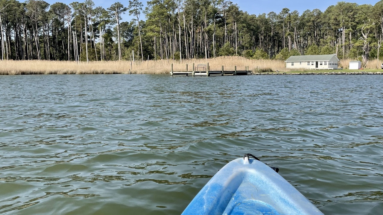 Photo of Others in Point Lookout