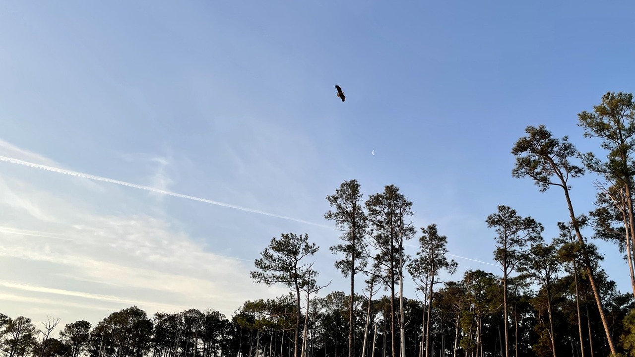 Photo of Others in Point Lookout