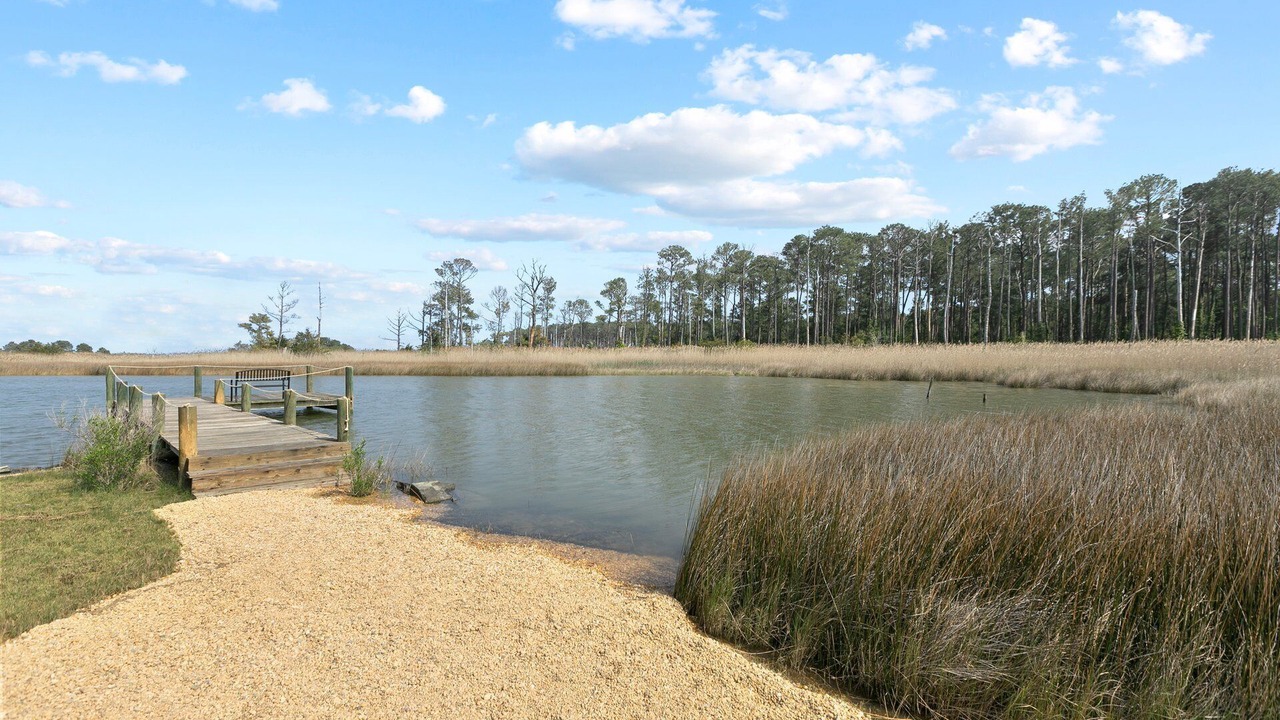 Photo of Others in Point Lookout