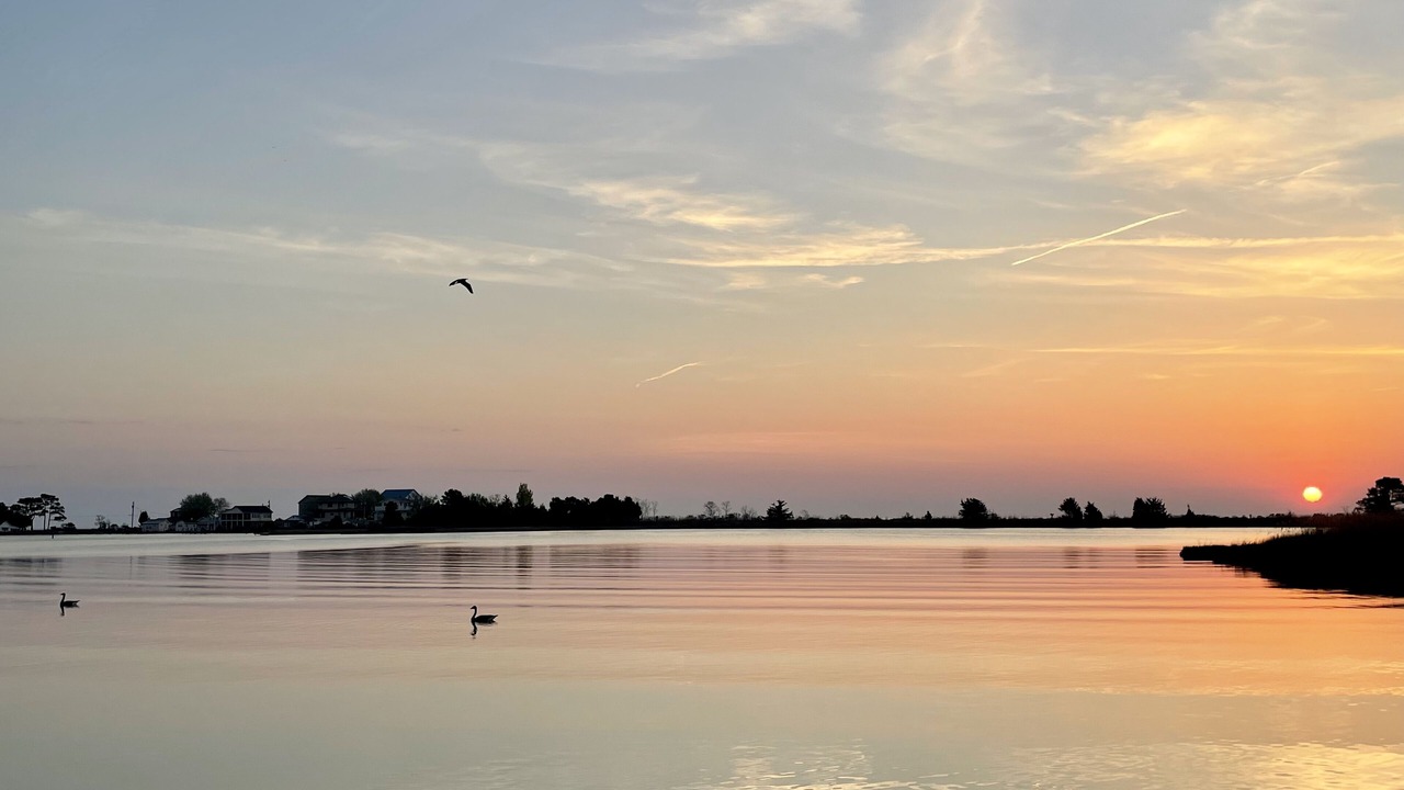 Photo of Outdoor in Point Lookout