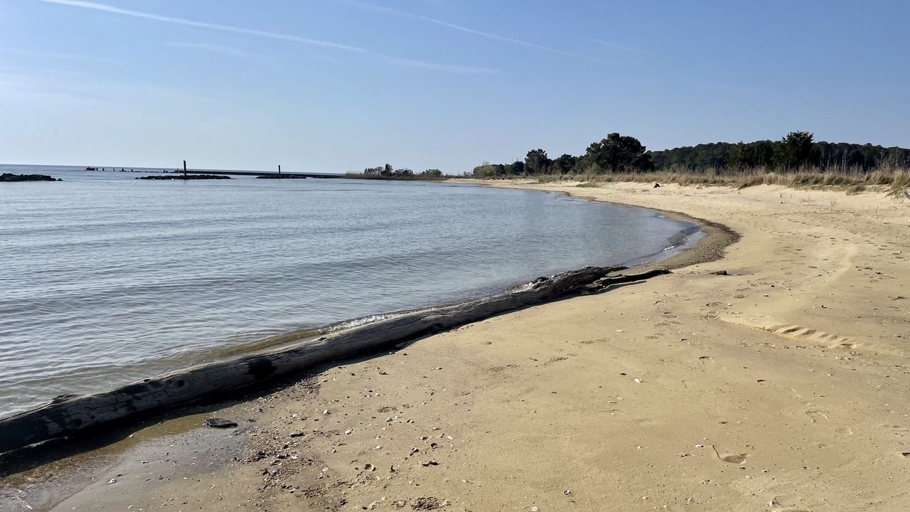 Photo of Others in Point Lookout