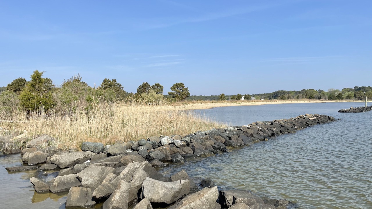 Photo of Others in Point Lookout