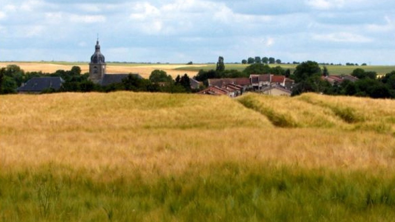 Photo of Outdoor in Rarecourt