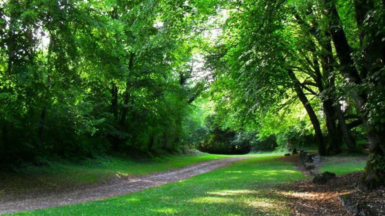Photo of Outdoor in Rarecourt