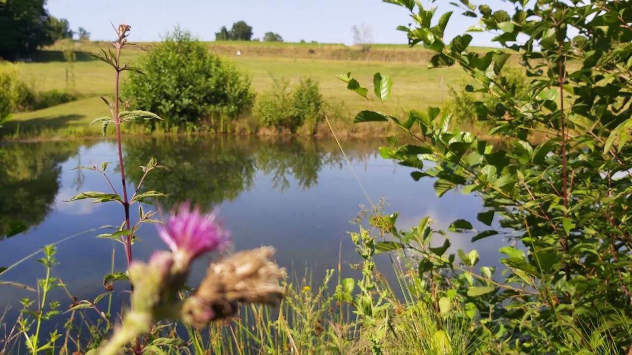 Photo of Outdoor in Saint-Sulpice-de-Pommiers
