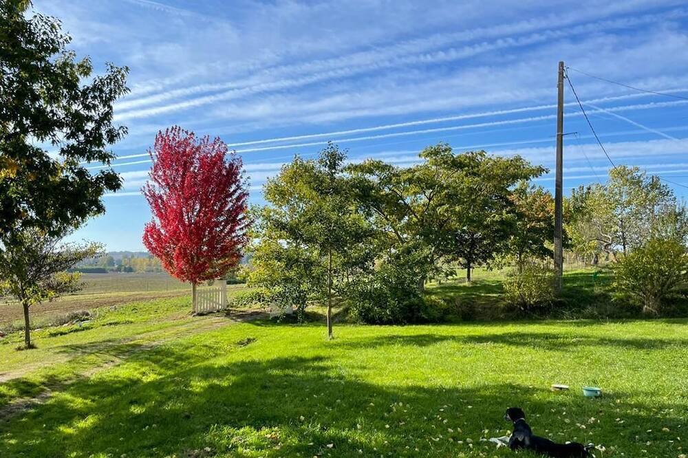 Photo of Outdoor in Labretonie
