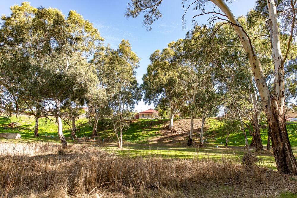 Photo of Outdoor in Gawler