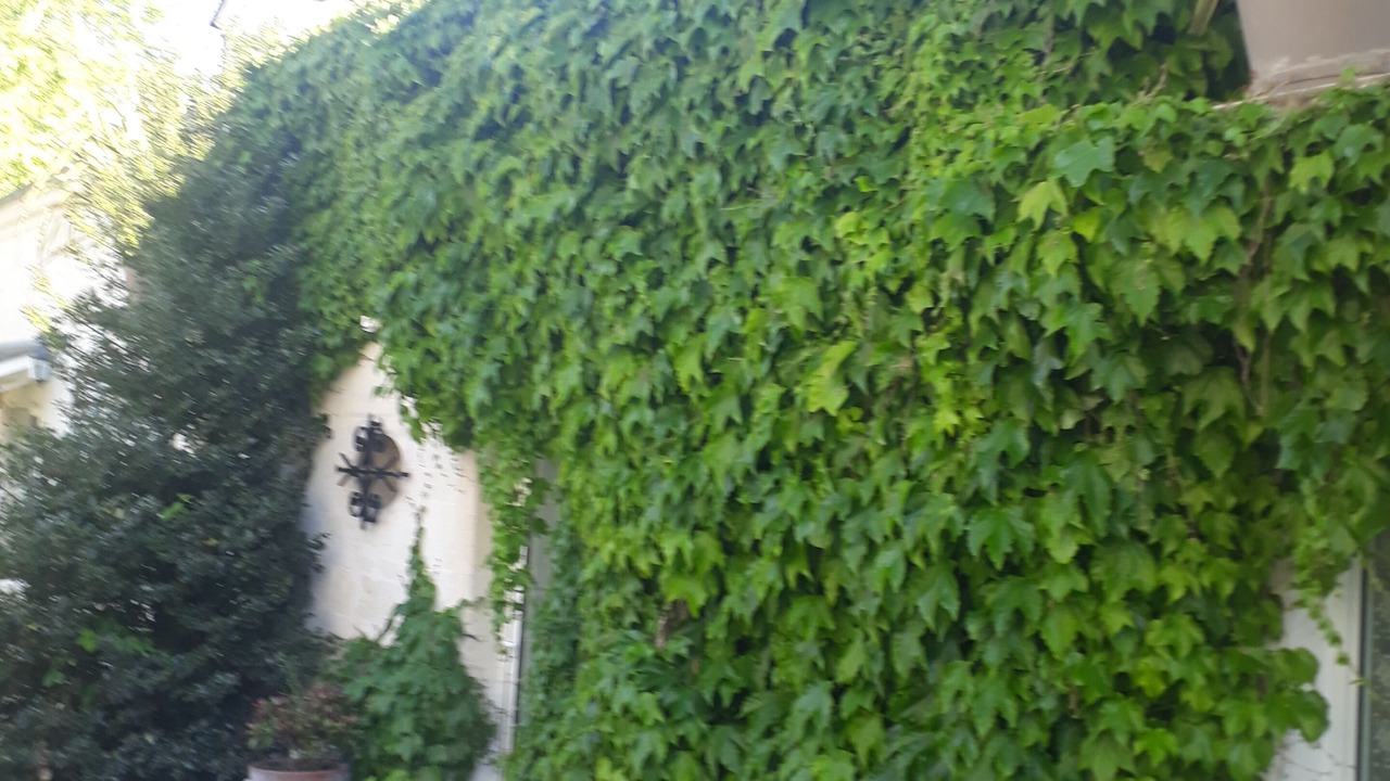 Photo of Outdoor in Varrains