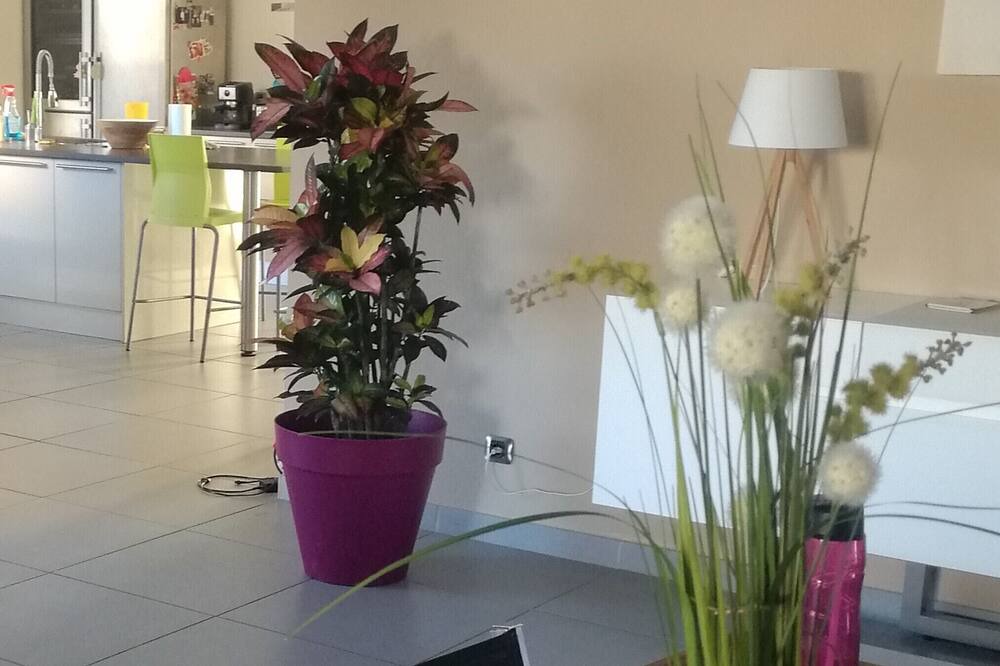 Photo of Livingroom in Pia