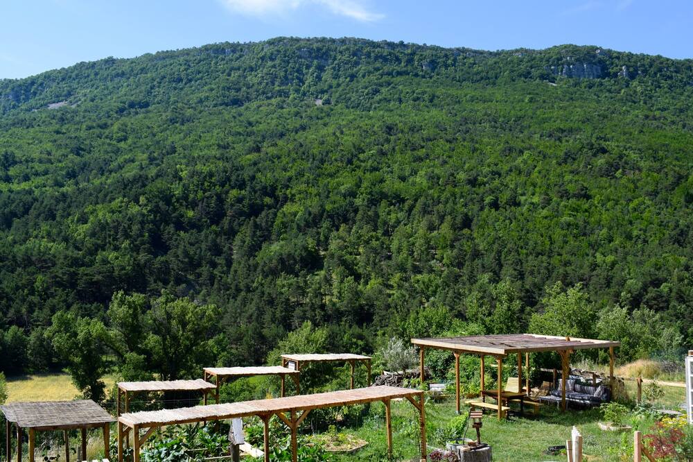 Photo of Outdoor in Curel