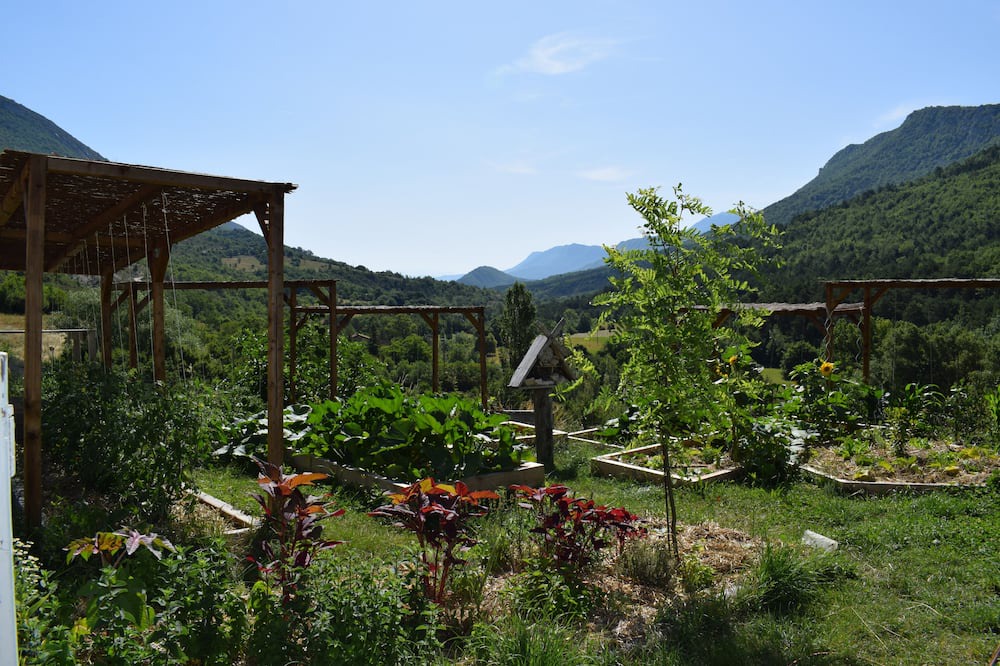 Photo of Outdoor in Curel