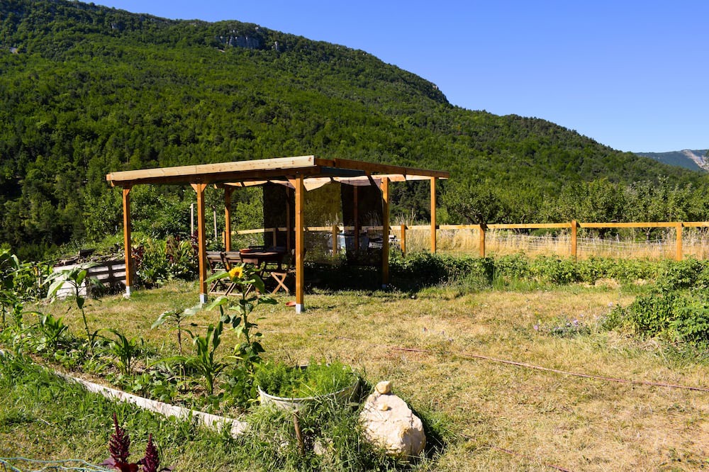 Photo of Outdoor in Curel