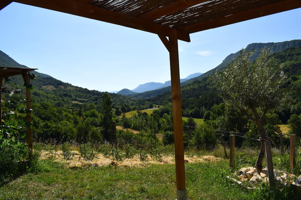 Photo of Outdoor in Curel