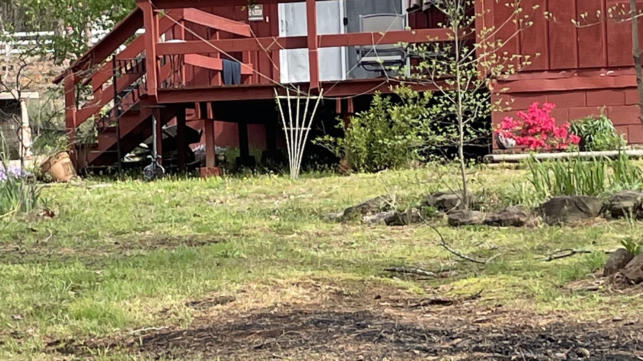 Photo of Outdoor in Heber Springs