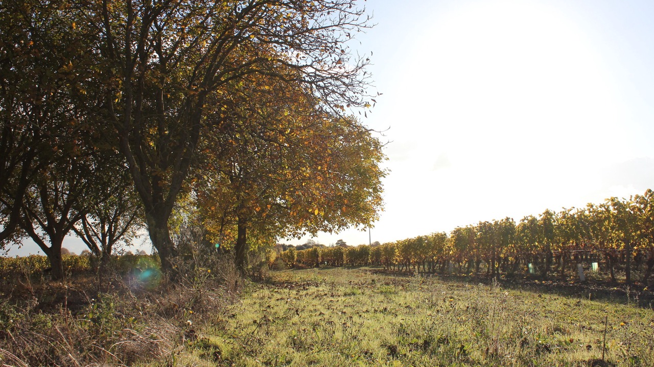 Photo of Outdoor in Varrains