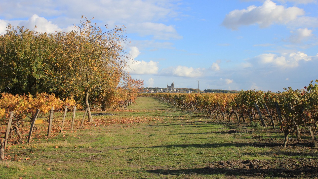 Photo of Outdoor in Varrains