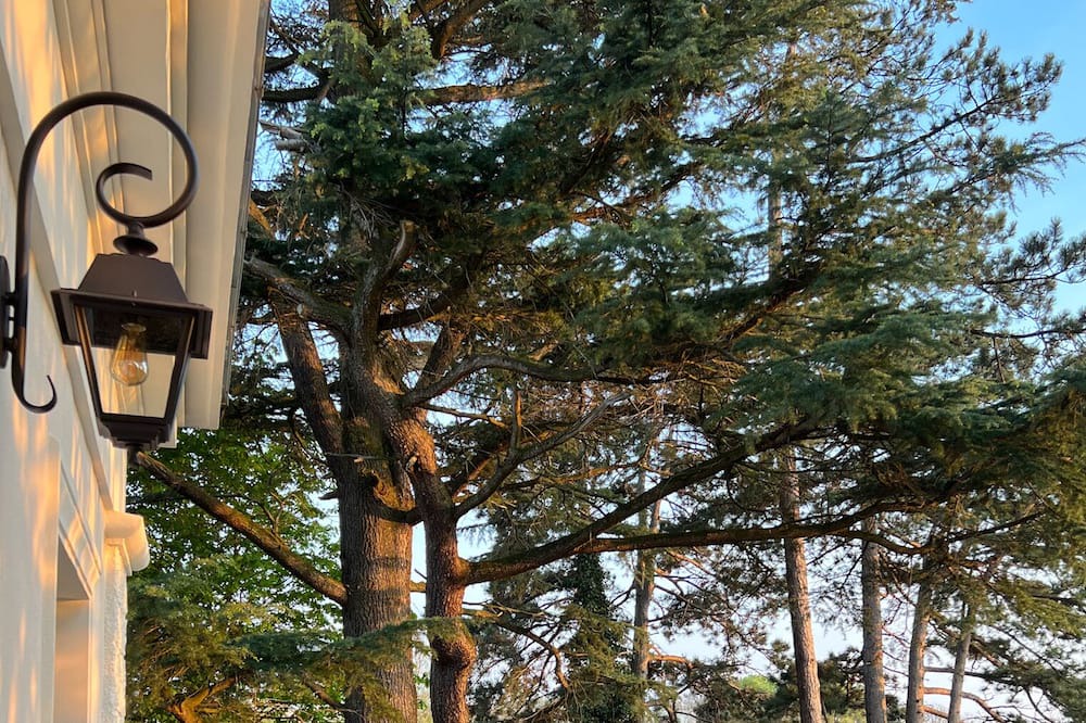 Photo of Patio Balcony in Haut Montmorency