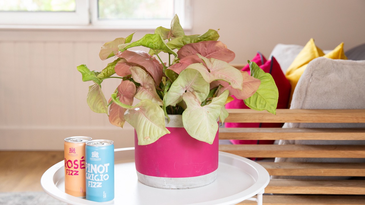 Photo of Others in Balloch