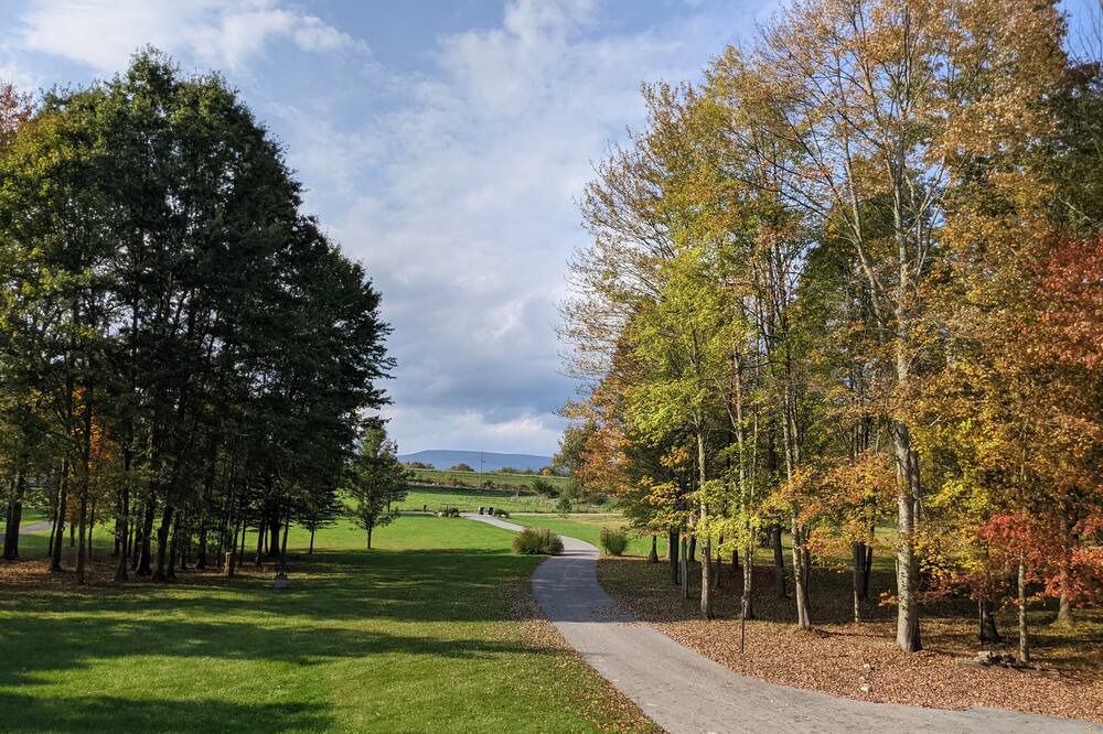 Photo of Outdoor in Pine Bush