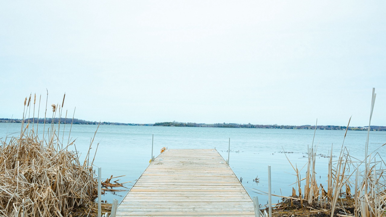 Photo of Others in Scugog