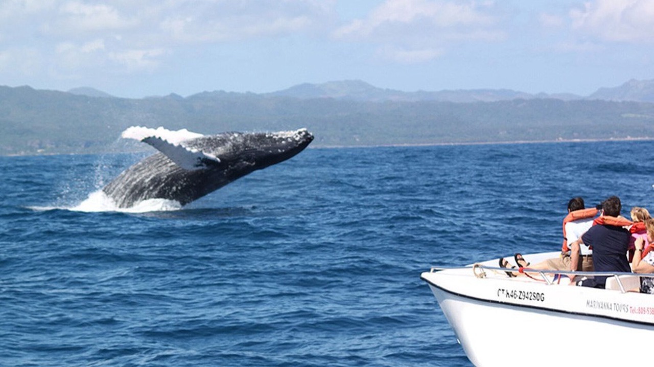 Photo of Patio Balcony in Centro