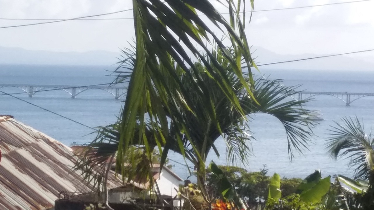 Photo of Patio Balcony in Centro