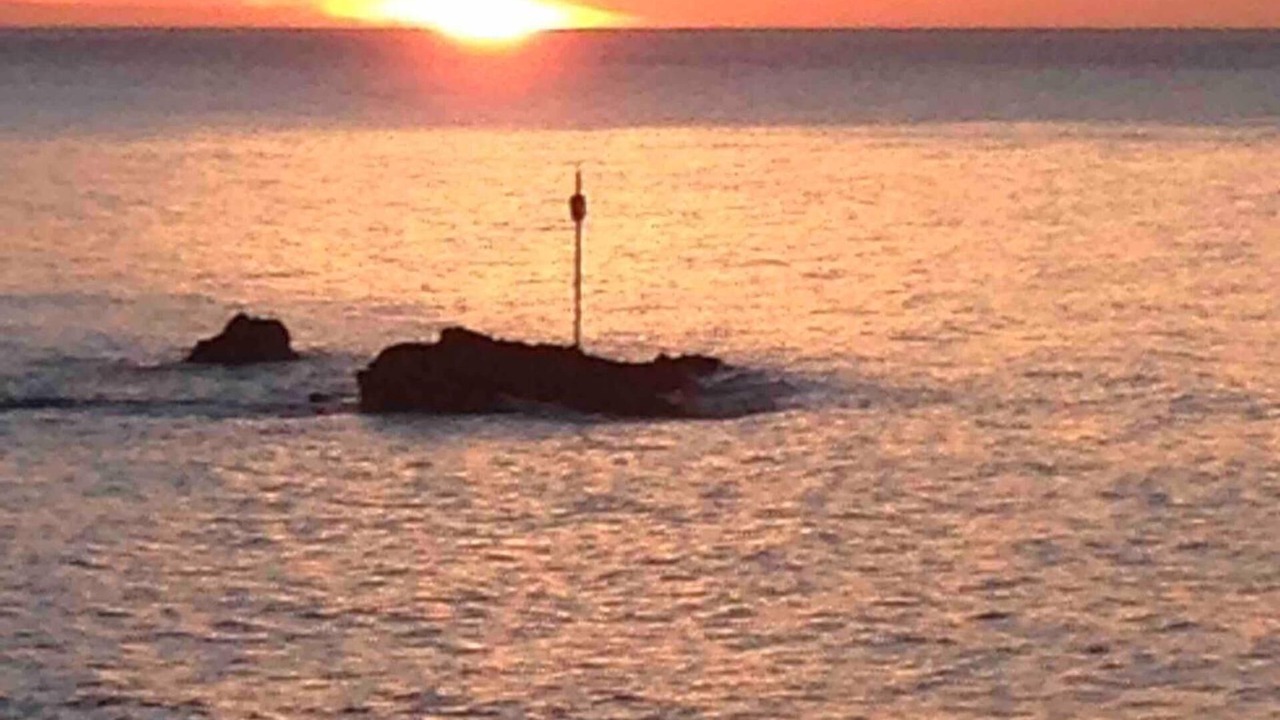 Photo of Others in Bude