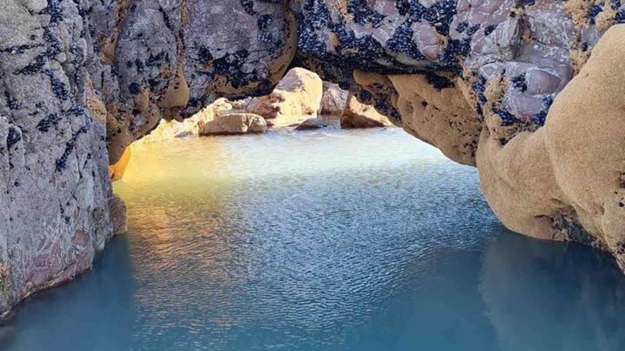 Photo of Others in Bude