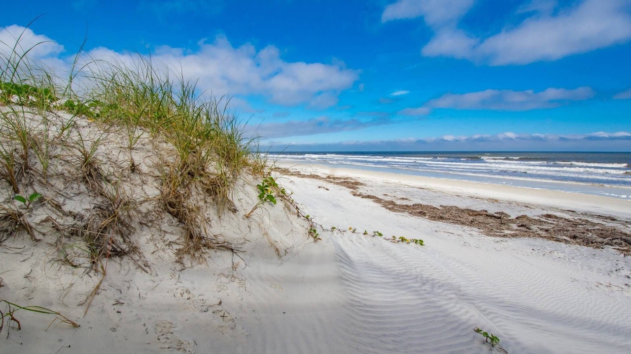 Photo of Outdoor in St. Augustine Beach