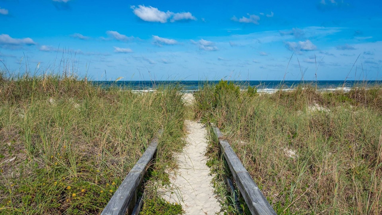 Photo of Outdoor in St. Augustine Beach