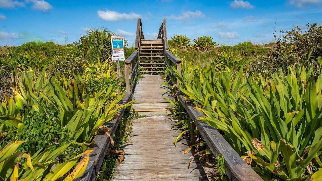 Photo of Outdoor in St. Augustine Beach