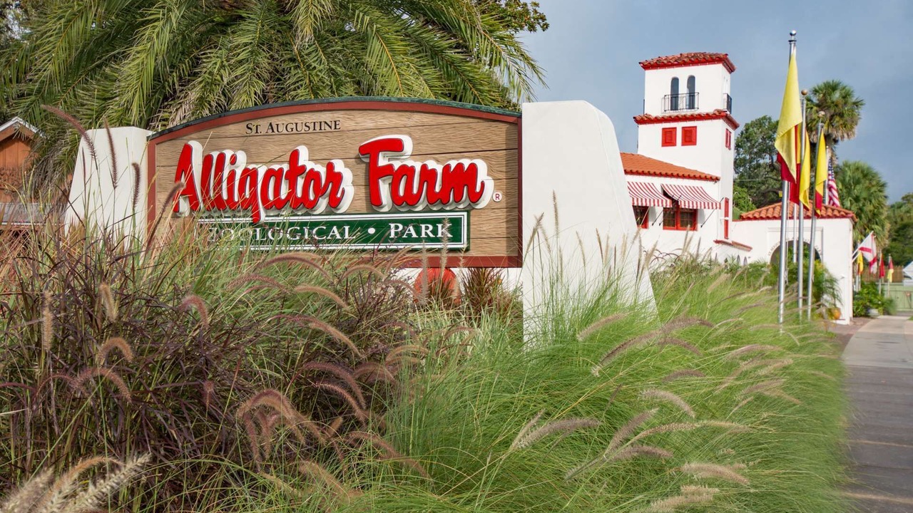Photo of Outdoor in St. Augustine Beach