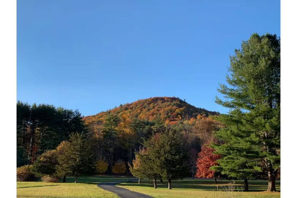 Photo of Others in West Shokan