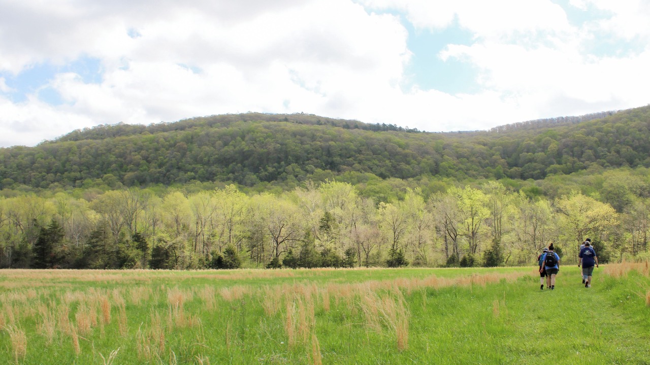 Photo of Others in Sand Gap