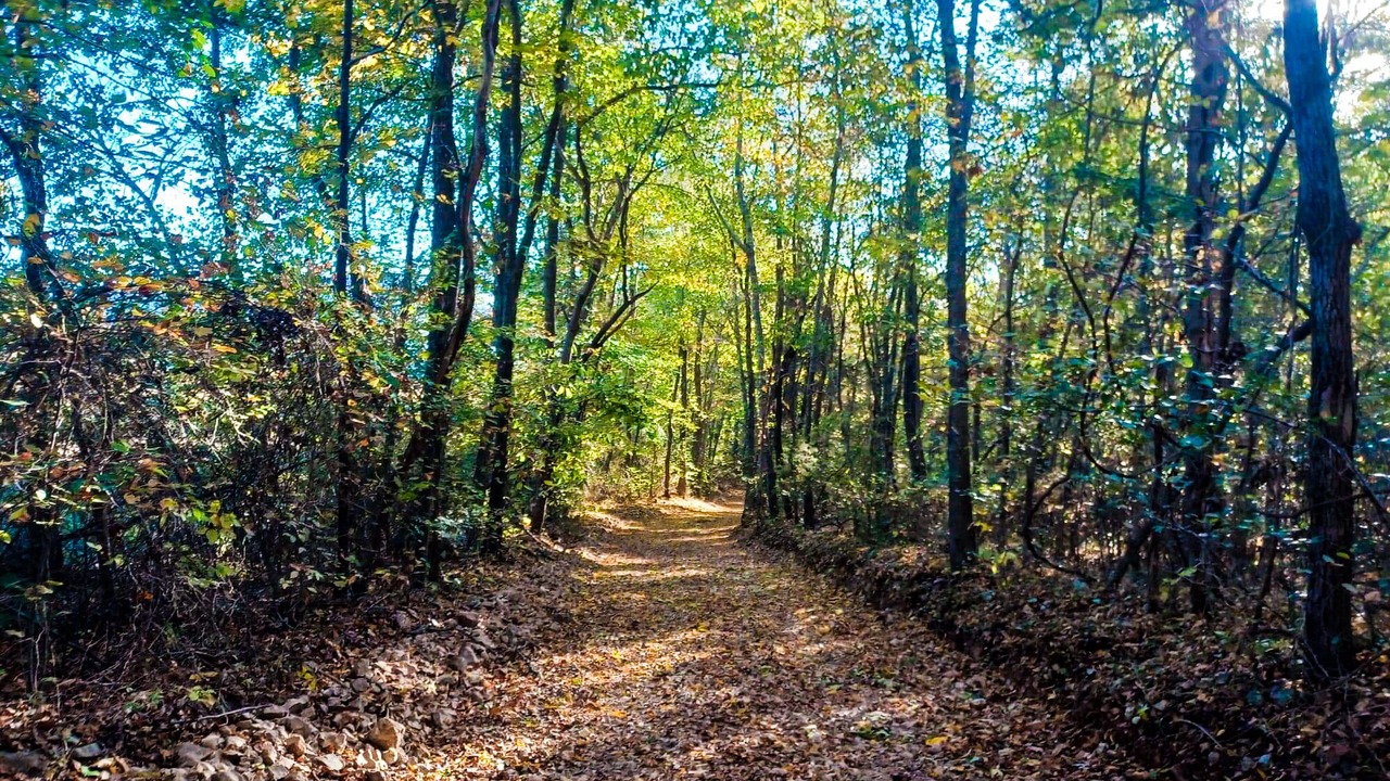 Photo of Outdoor in Sand Gap