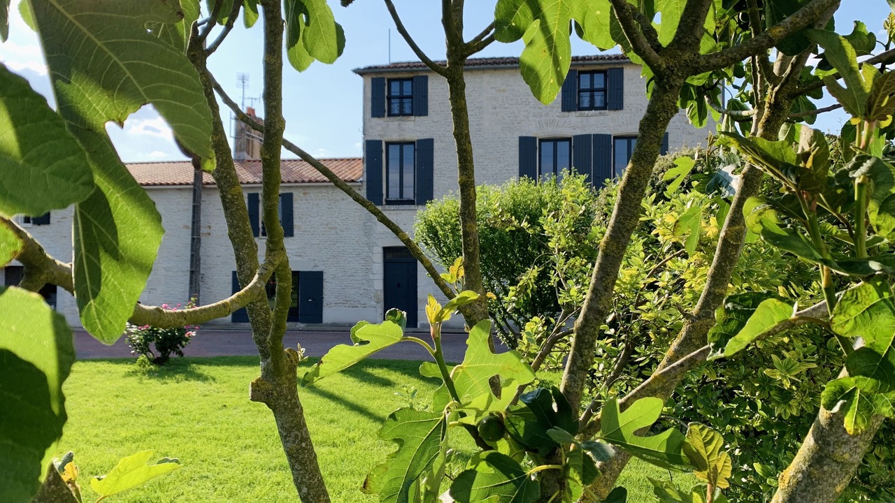 Photo of Outdoor in Saint-Jean-de-Liversay