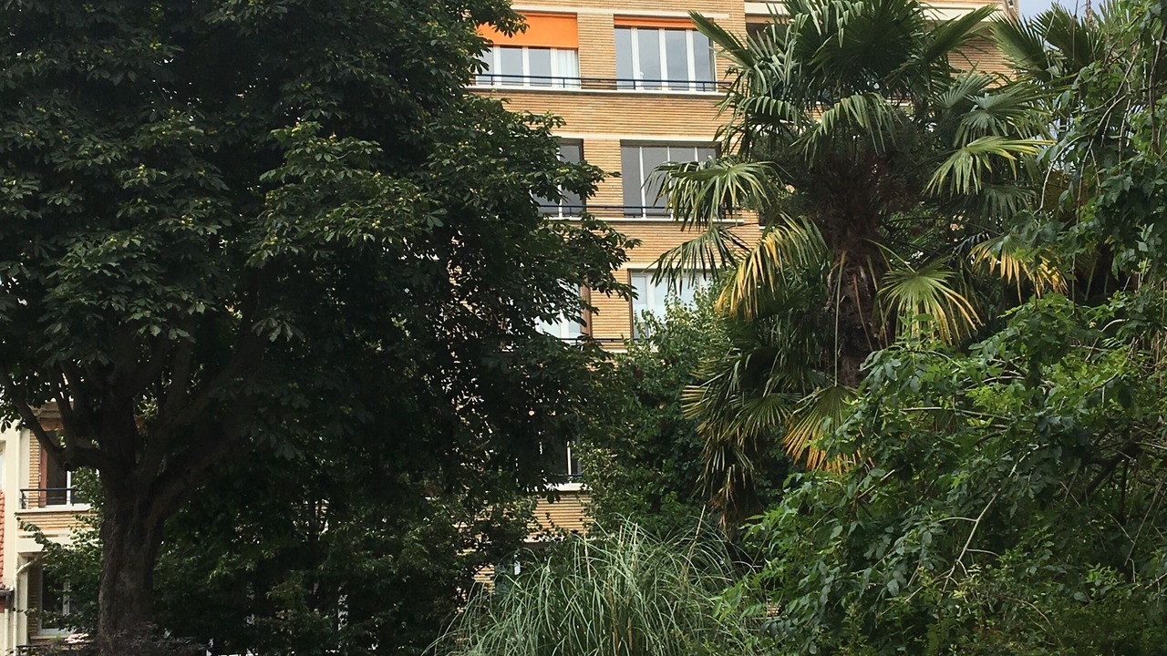 Photo of Outdoor in Vanves