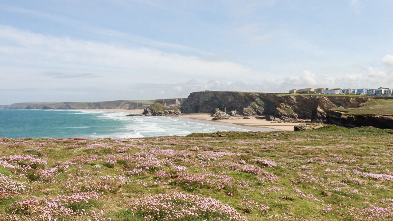 Photo of Others in Porth