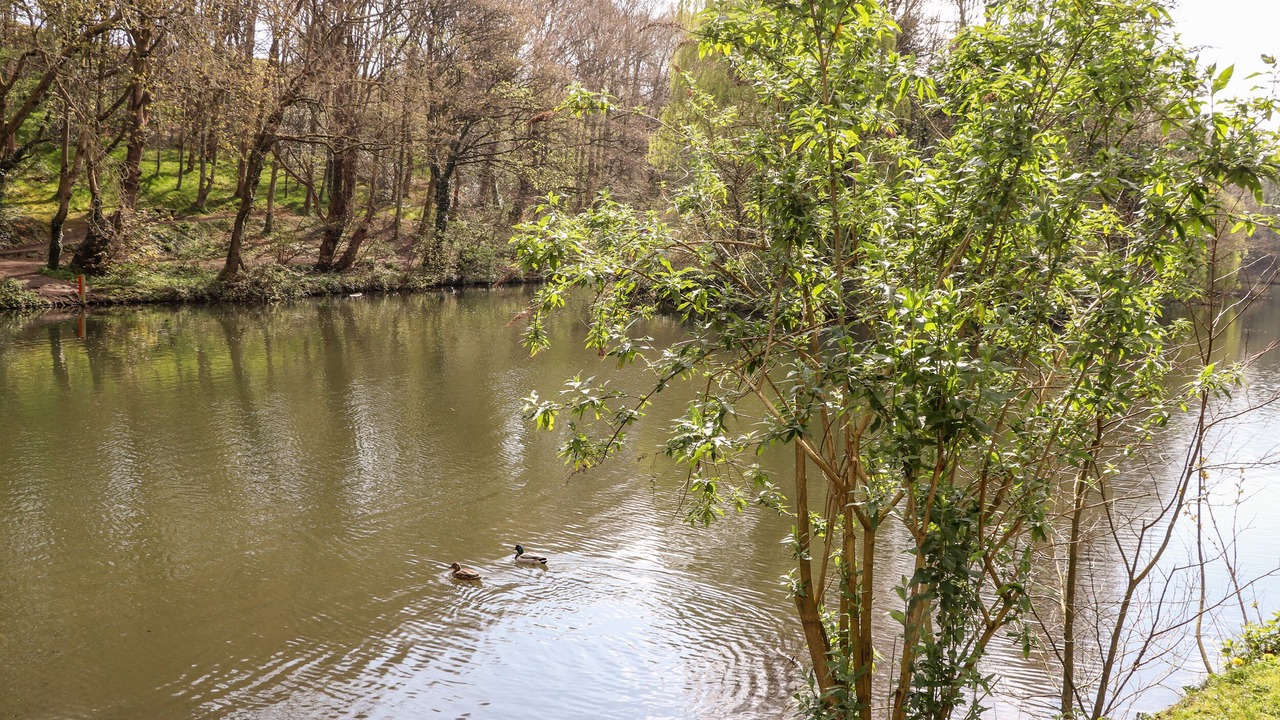 Photo of Others in Wrexham