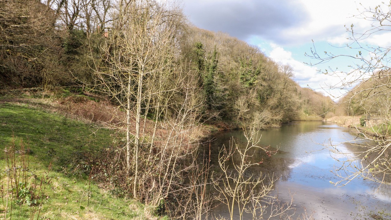 Photo of Others in Wrexham