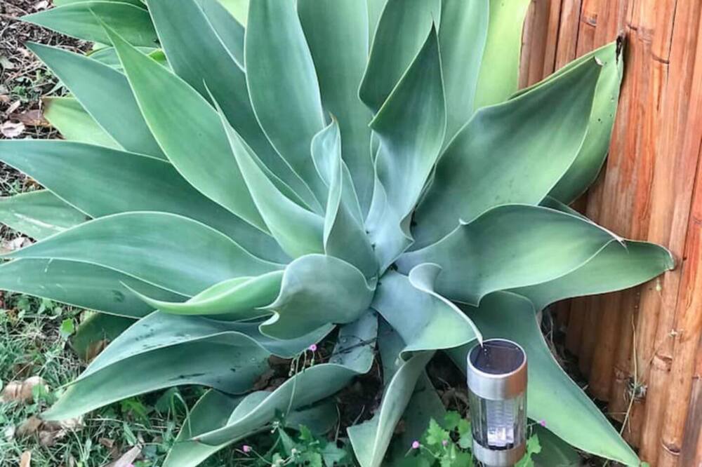 Photo of Outdoor in Ashmore