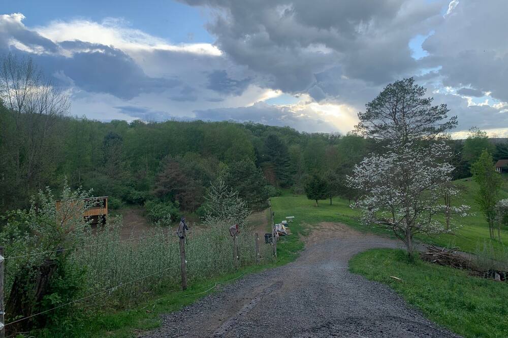 Photo of Outdoor in Spencer
