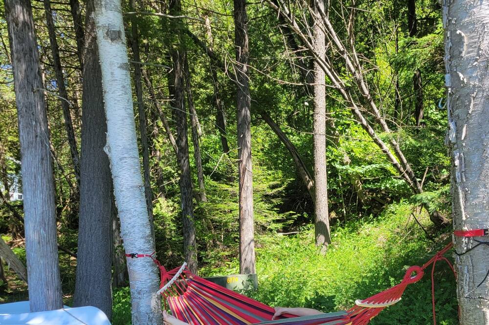 Photo of Outdoor in North Frontenac