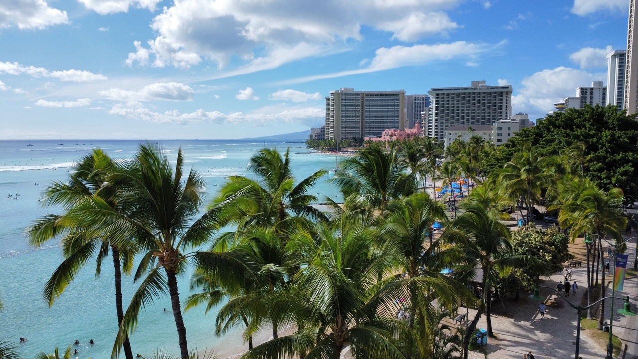 Photo of Others in Diamond Head - Kapahulu - St. Louis