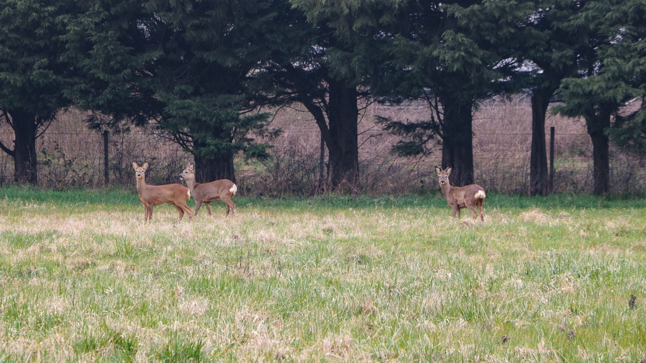 Photo of Others in Defford