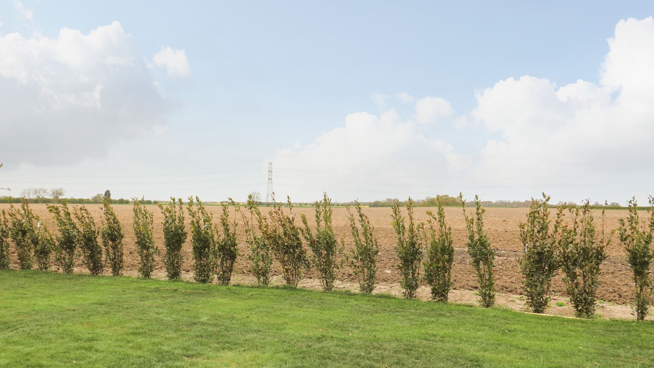 Photo of Others in Arnold