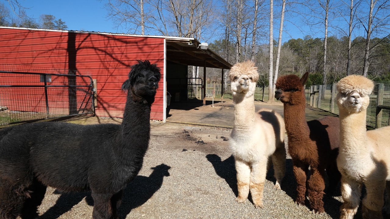 Photo of Others in Murphy