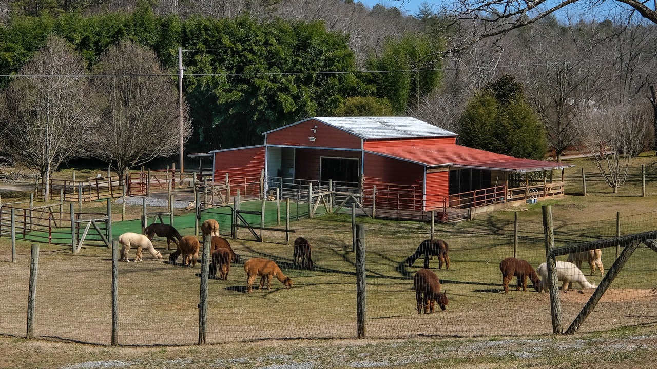 Photo of Outdoor in Murphy